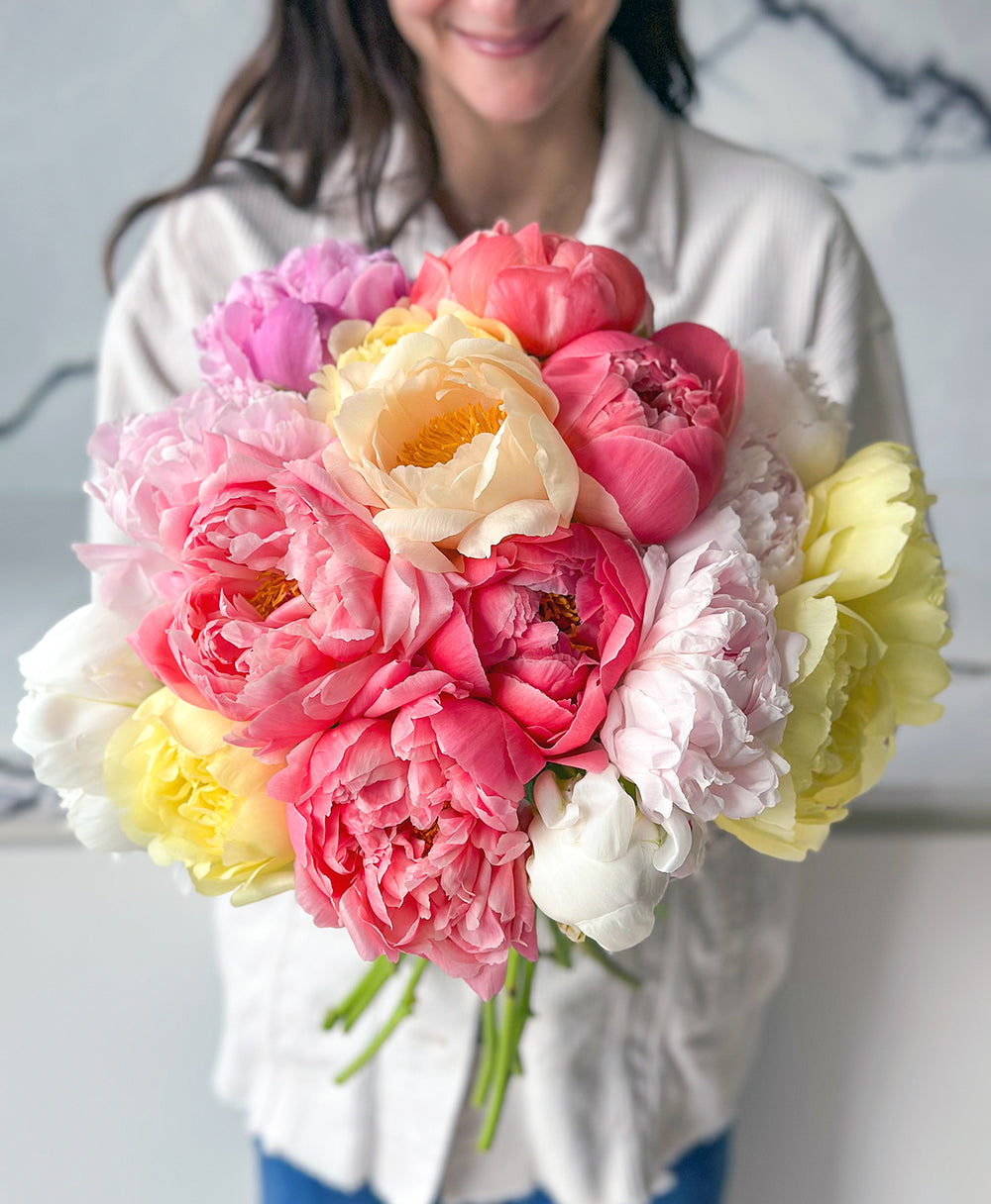 Shop Double Peony Farmer’s Mix (20 Stems) | Tonic Blooms