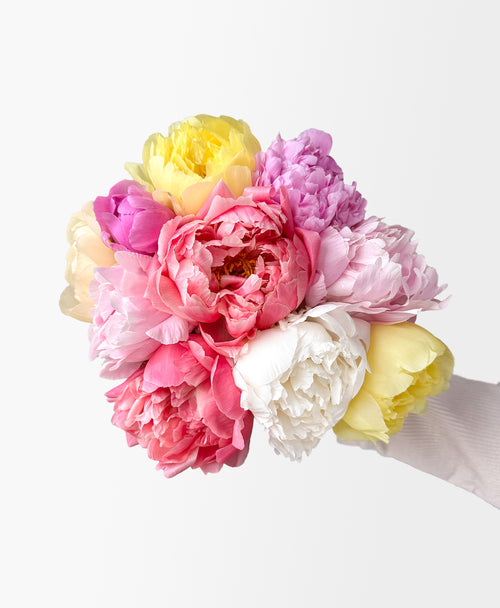 Farmer’s Peony Mix (10 Stems)