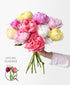 Farmer’s Peony Mix (10 Stems)