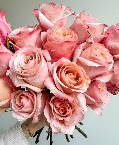 Fascination Roses (15 stems)