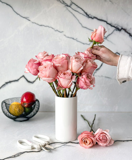 Fascination Roses (15 stems)