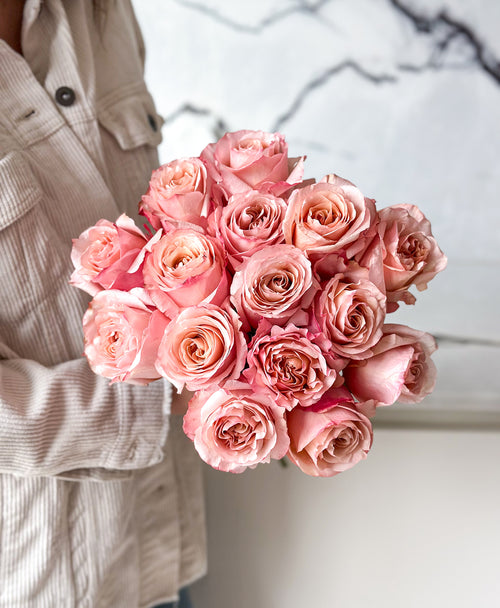 Fascination Roses (15 stems)