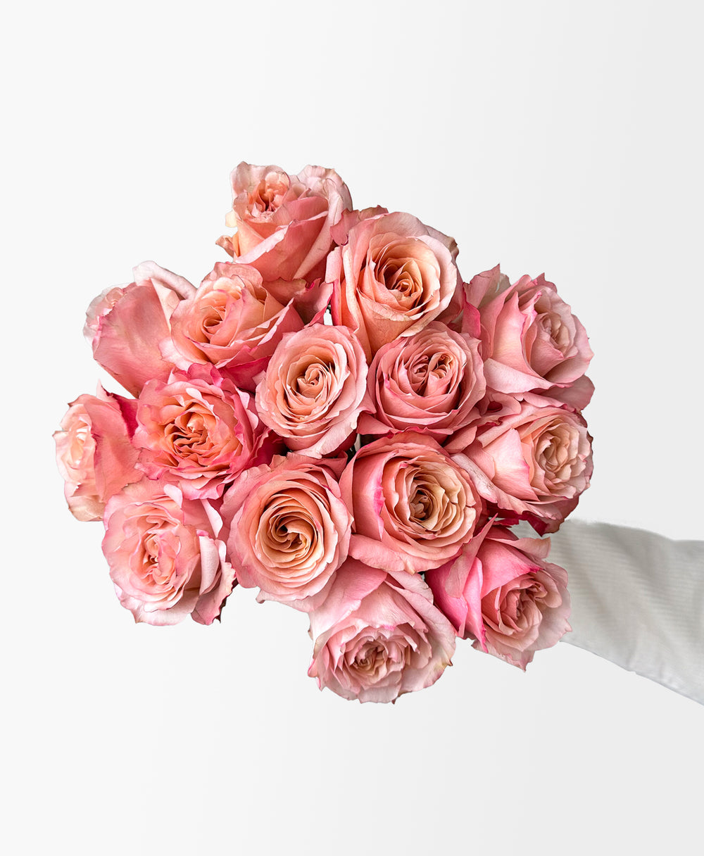 Fascination Roses (15 stems) - Flower Care