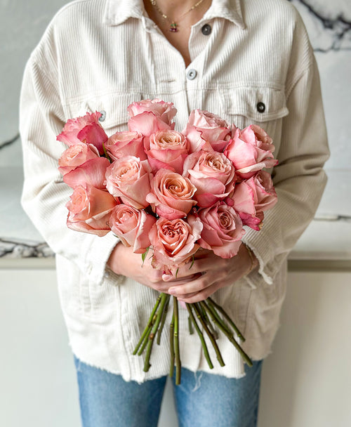 Fascination Roses (15 stems)