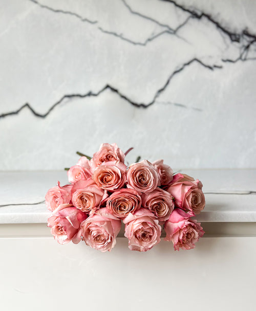 Fascination Roses (15 stems)