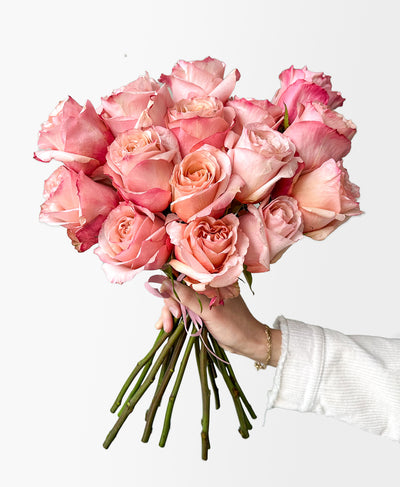 Fascination Roses (15 stems)