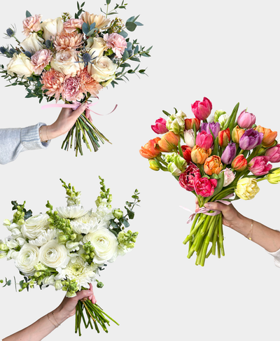 Florist's Choice, $75 Value