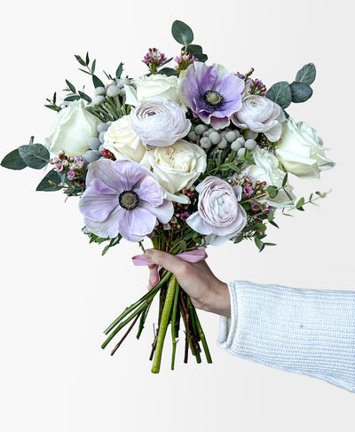 Jill Frost (13+ stems)