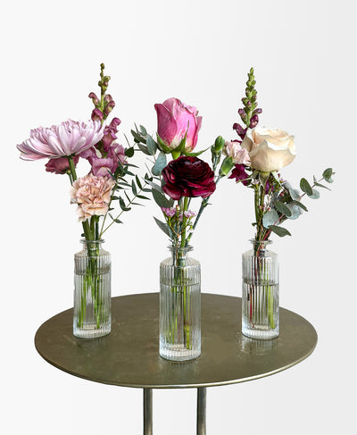 Buddy System (Colourful)