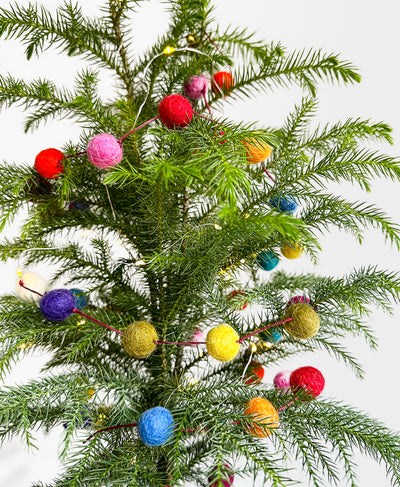 Little Drummer Tree (with drainage tray)