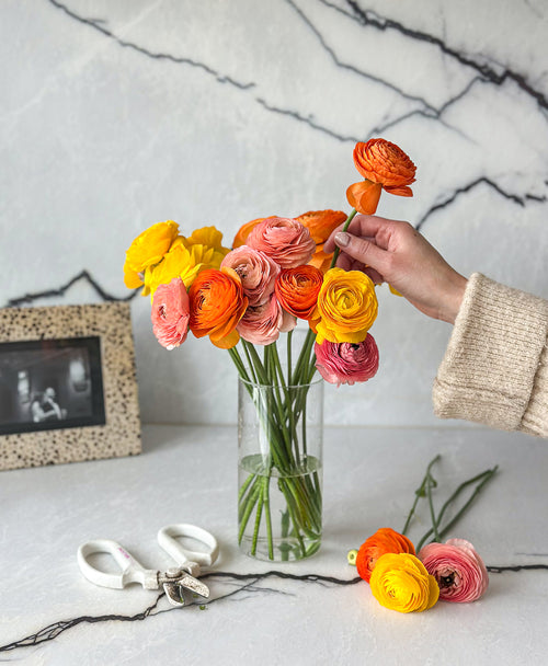 Orange You Glad Ranunculus (18 stems)