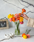 Orange You Glad Ranunculus (18 stems)