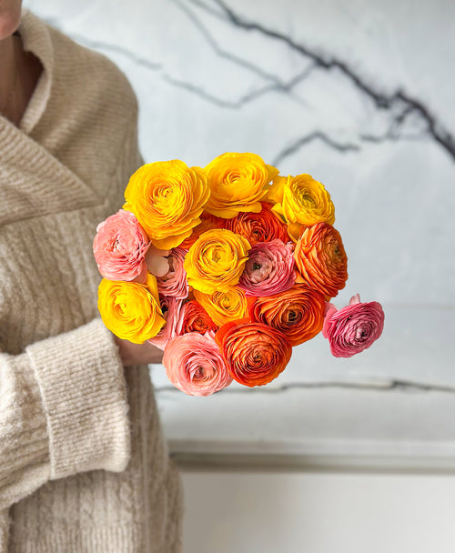 Orange You Glad Ranunculus (18 stems)