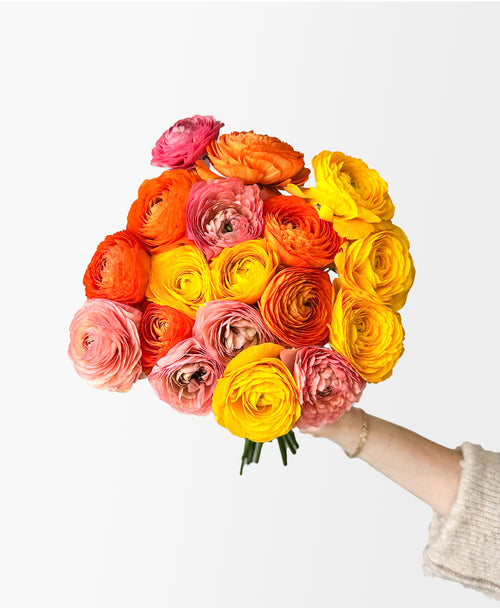 Orange You Glad Ranunculus (18 stems)