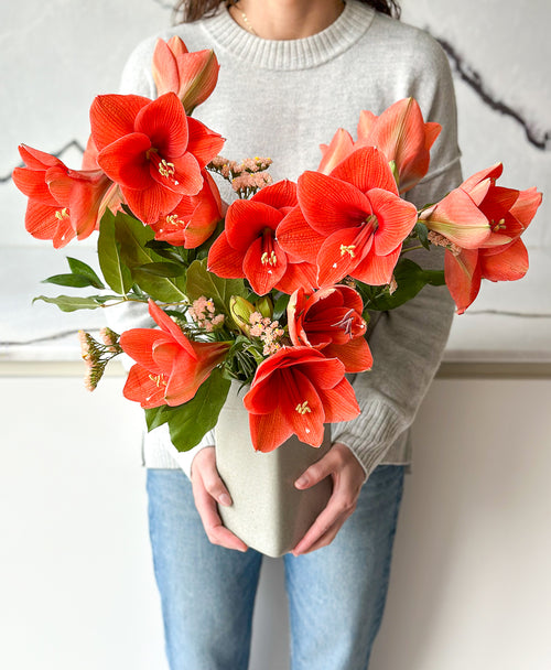 Eternal Flame Amaryllis (Arrives in vase)