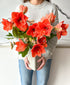 Eternal Flame Amaryllis (Arrives in vase)