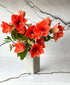 Eternal Flame Amaryllis (Arrives in vase)