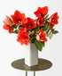 Eternal Flame Amaryllis (Arrives in vase)