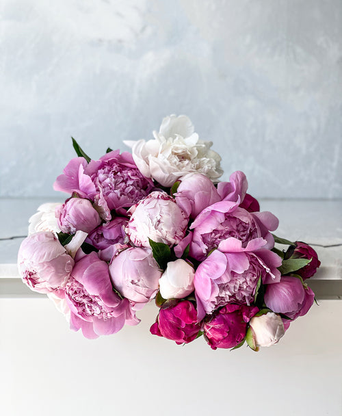 Double Farmer’s Peony Mix (20 Stems)