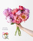 Poolside Peonies (10 Stems)