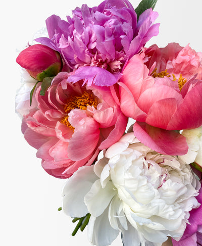 Farmer’s Peony Mix (10 Stems)