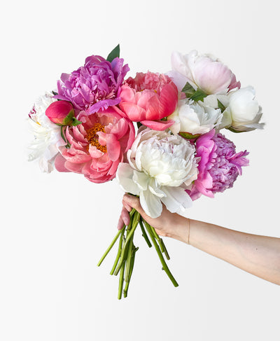 Farmer’s Peony Mix (10 Stems)