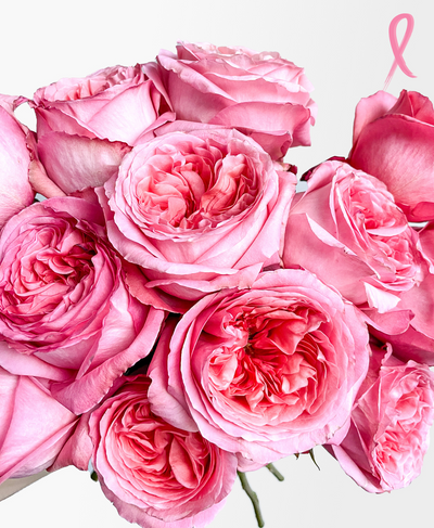 Pink Expression Garden Roses (12 stems)