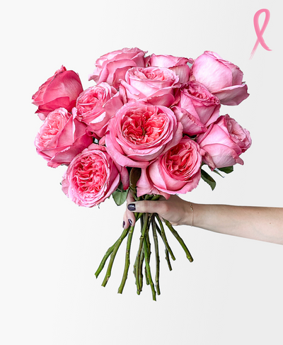 Pink Expression Garden Roses (12 stems)