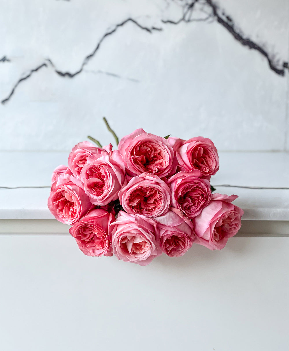 Pink Expression Garden Roses for Sale | Wedding Flowers