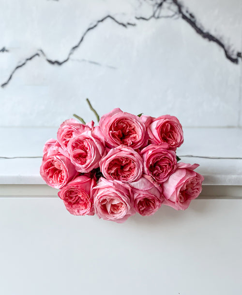 Pink Expression Garden Roses (12 stems)