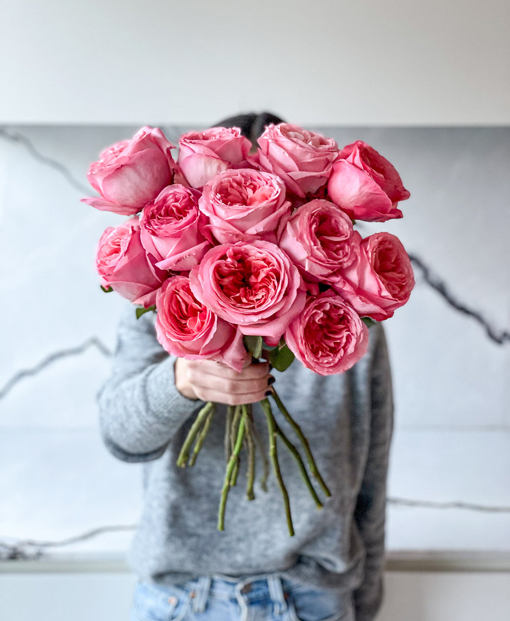 Pink Expression Garden Roses for Sale | Wedding Flowers