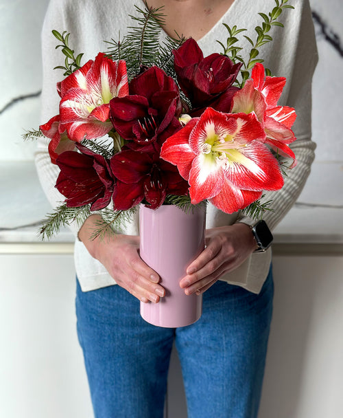 Santa Baby (5 stems, arrives with vase)
