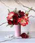 Sleigh All Day Amaryllis (5 stems, 12+ blooms)
