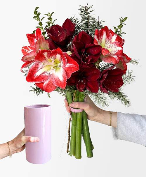 Santa Baby (5 stems, arrives with vase)