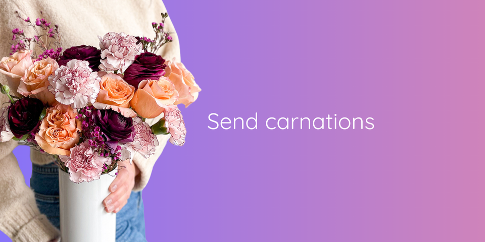 Send carnations