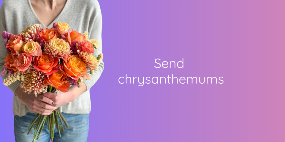 Send chrysanthemums