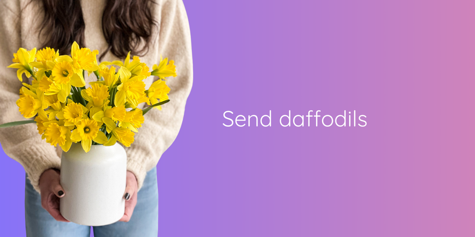 Send daffodils