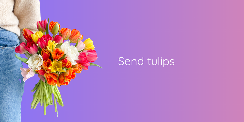 Send tulips