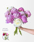 Single Scoop of Peonies (10 Stems)