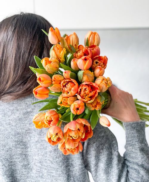 Atomic Orange Double Tulips (30 stems)