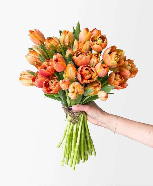 Atomic Orange Double Tulips (30 stems)