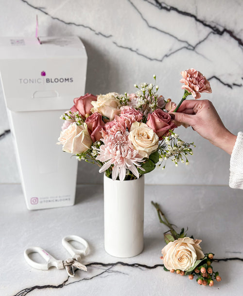 Swipe Right (18+ stems)