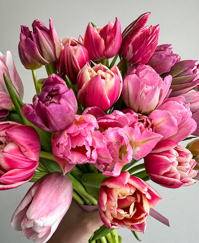 Tulip Service (Grower's mix, 30 stems)
