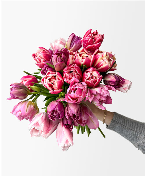 Tulip Service (Grower's mix, 30 stems)