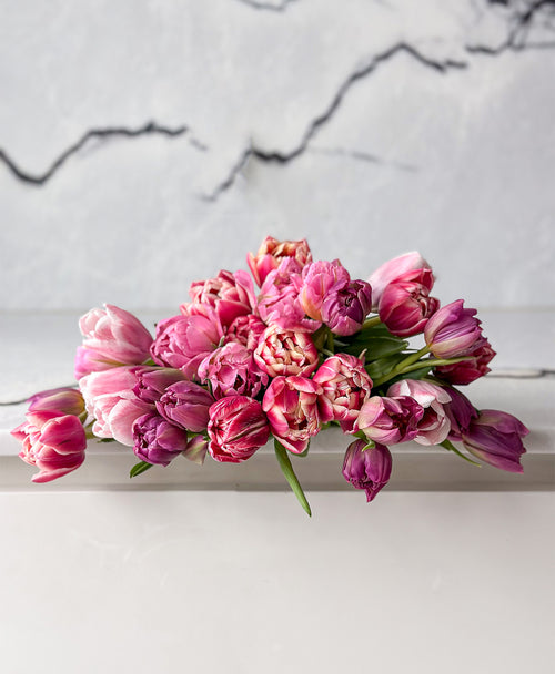 Tulip Service (Grower's mix, 30 stems)