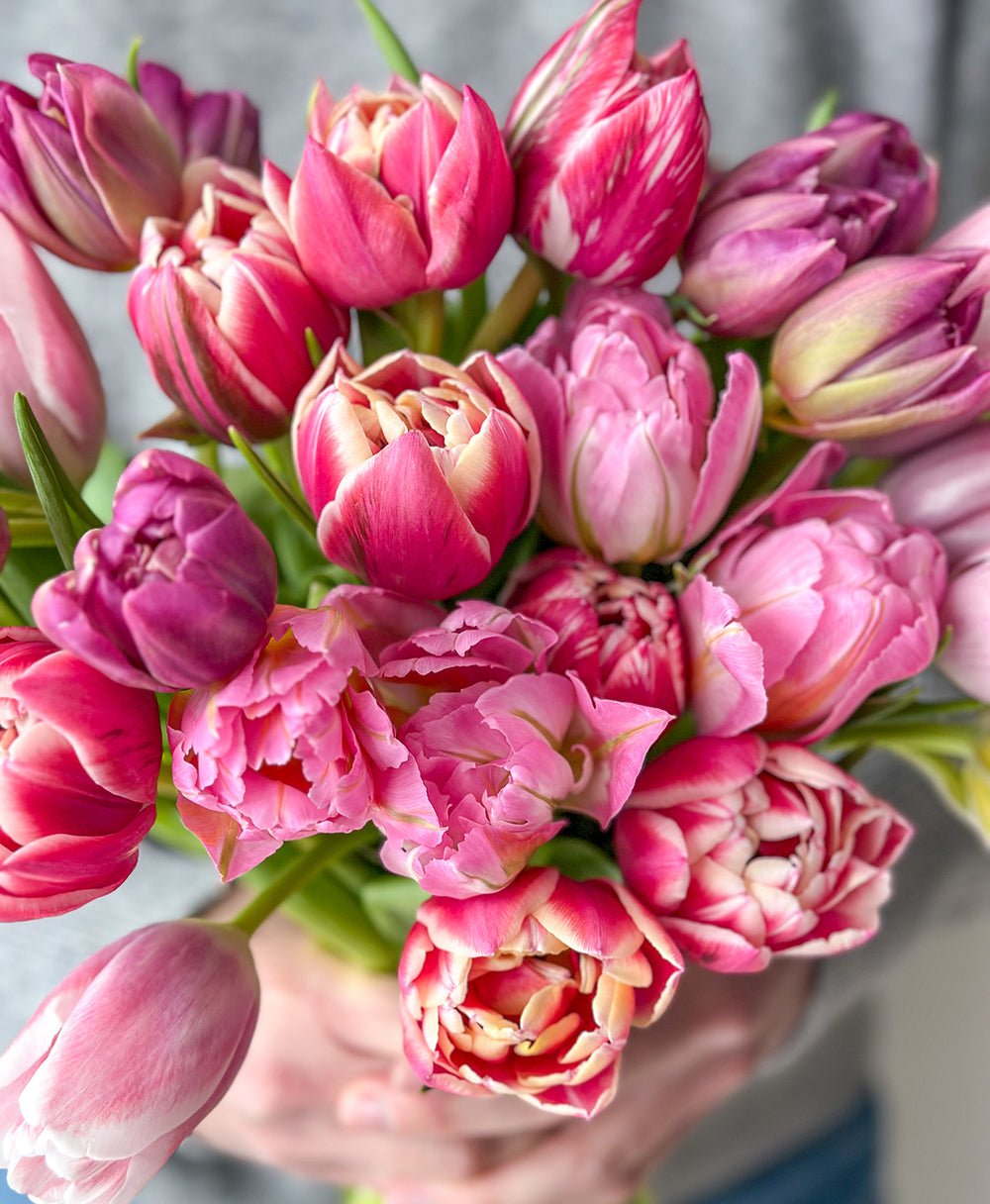 Tulip Service (Grower's Mix, 30 Stems) | Tonic Blooms