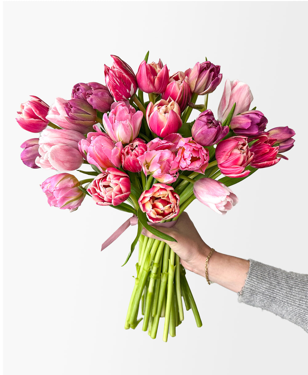 Tulip Service (Grower's Mix, 30 Stems) | Tonic Blooms