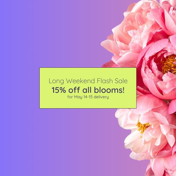Toronto flower delivery you can actually count on