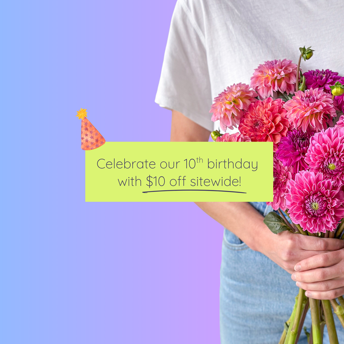 Toronto flower delivery you can count on