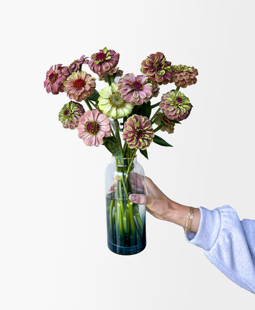 The Zinncredibles! (15 stems, arrives in vase)